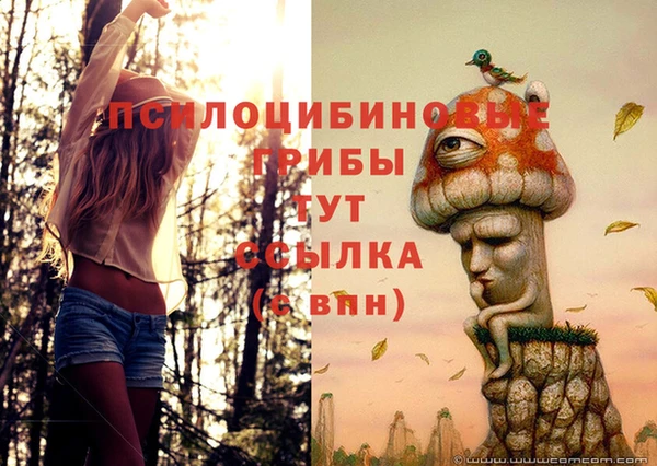 спайс Каменка
